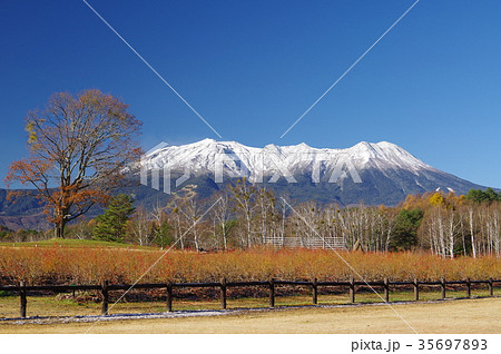 信州木曽 開田高原 木曽馬の里より晩秋の御嶽山 庶民の信仰を集める山岳信仰の山 信州木曽 開田高原 木曽馬の里より晩秋の御嶽山 庶民の信仰を集める山岳信仰の山 35697893