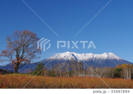 信州木曽　開田高原　木曽馬の里より晩秋の御嶽山　庶民の信仰を集める山岳信仰の山 35697894