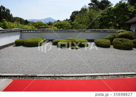 京都の正伝寺 35698627