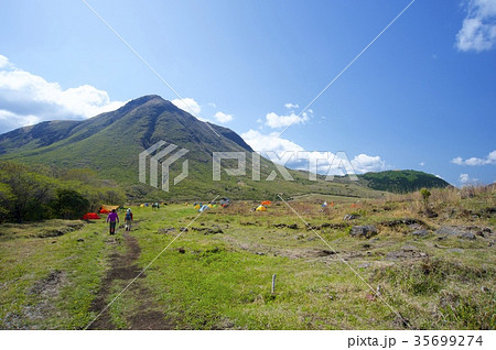 坊ガツル 35699274