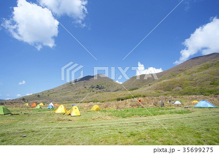 坊ガツル 35699275