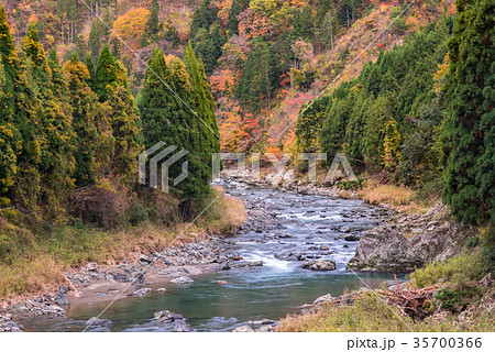 上桂川の流れ 上桂川の流れ 35700366