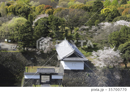 桜の清水門 東京・北の丸公園 桜の清水門 東京・北の丸公園 35700770