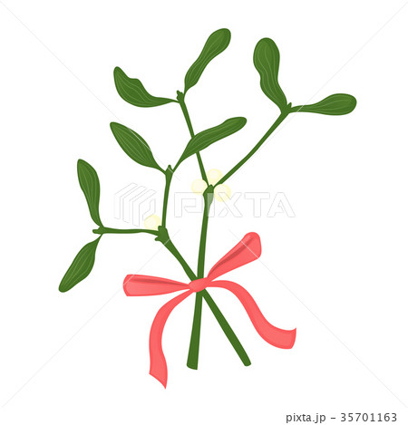 mistletoe branches mistletoe branches 35701163