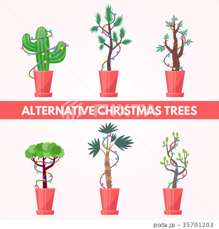 set of New Year plants set of New Year plants 35701203