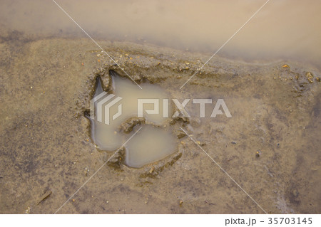 mark on the white background 35703145