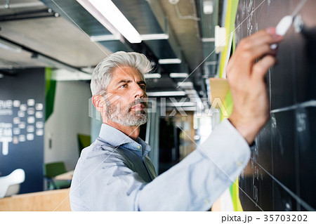 Mature businessman with gray hair in the office. Mature businessman with gray hair in the office. 35703202