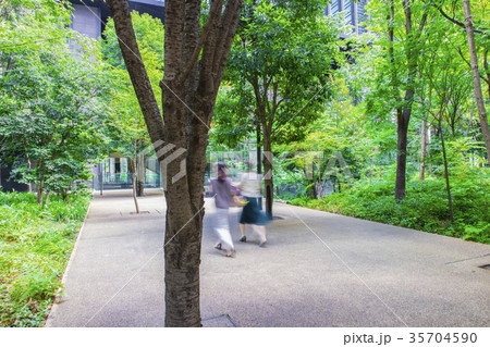 緑に囲まれたオフィスエントランス 35704590