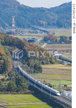 秋の近江路を走る700系 35705472