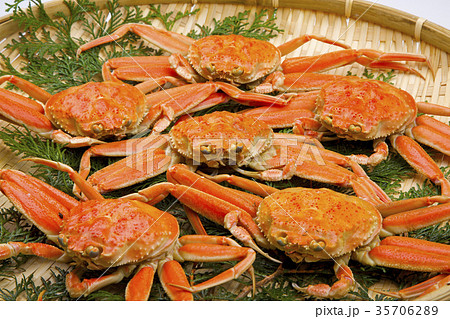 セコガニ　食材 35706289