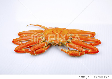 松葉ガニ 食材 松葉ガニ 食材 35706357