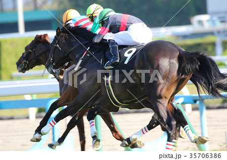 競馬14 35706386