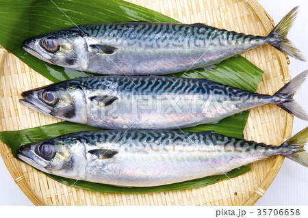 サバ　食材 35706658