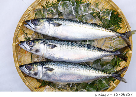 サバ 食材 サバ 食材 35706857