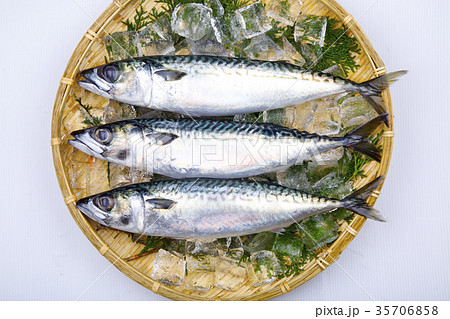 サバ 食材 サバ 食材 35706858