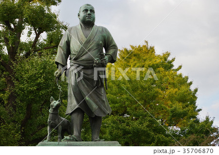 上野公園のランドマーク西郷隆盛像 上野公園のランドマーク西郷隆盛像 35706870