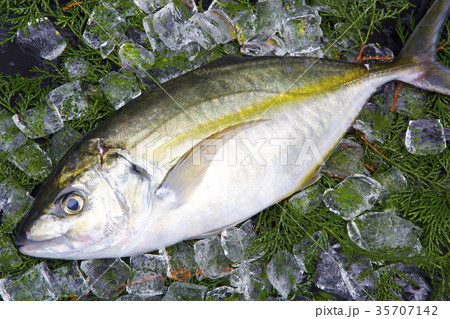 しまあじ 食材 しまあじ 食材 35707142