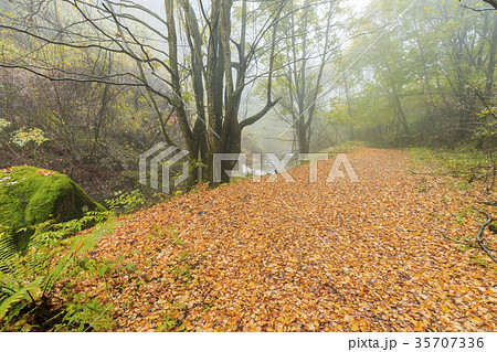 横谷渓谷 横谷渓谷 35707336