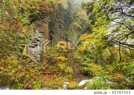 横谷渓谷 35707353