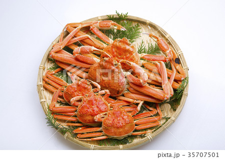 ズワイガニ オスとメス 食材 ズワイガニ オスとメス 食材 35707501