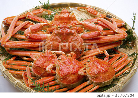 ズワイガニ オスとメス 食材 ズワイガニ オスとメス 食材 35707504