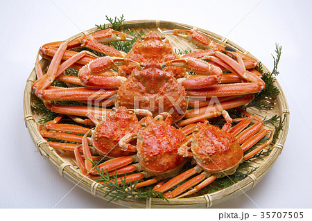 ズワイガニ　オスとメス　食材 35707505