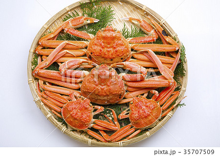 ズワイガニ　オスとメス　食材 35707509