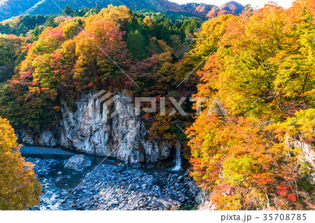 《栃木県》鬼怒川沿いの紅葉 35708785