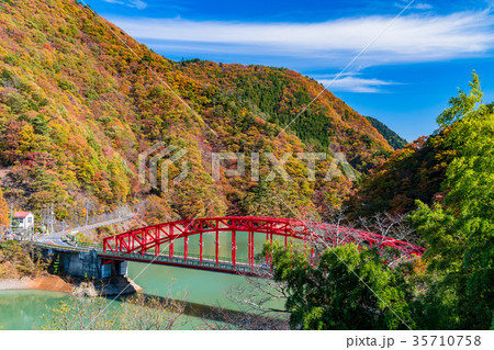 《東京都》紅葉の奥多摩湖・峰谷橋 《東京都》紅葉の奥多摩湖・峰谷橋 35710758