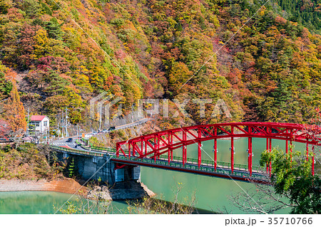 《東京都》紅葉の奥多摩湖・峰谷橋 《東京都》紅葉の奥多摩湖・峰谷橋 35710766
