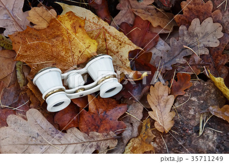 old theatrical binoculars lies on rocks in autumn 35711249