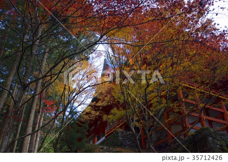 比叡山・横川の横川中堂と紅葉 35712426