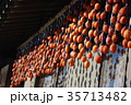 干し柿 35713482