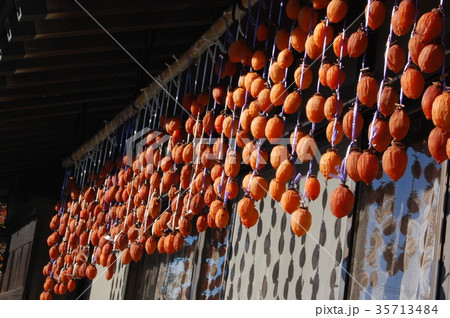 干し柿 干し柿 35713484