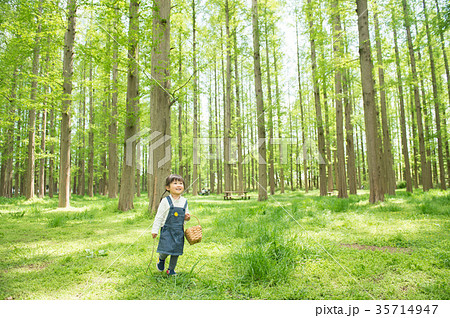 森の中にいる女の子の写真素材