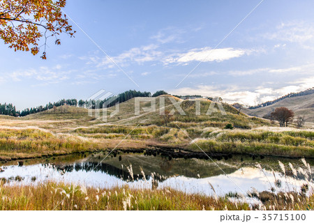 砥峰高原　秋 35715100