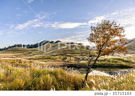 砥峰高原 秋 砥峰高原 秋 35715103