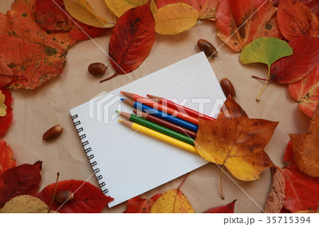 秋のスケッチ　イメージ 35715394