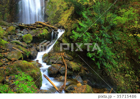 紅葉の抱き返り渓谷 紅葉の抱き返り渓谷 35715486