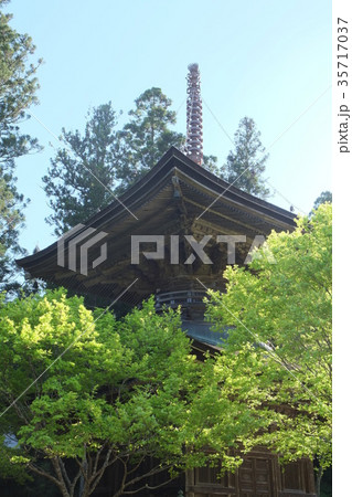 高野山北西部２０１６年その４ 35717037