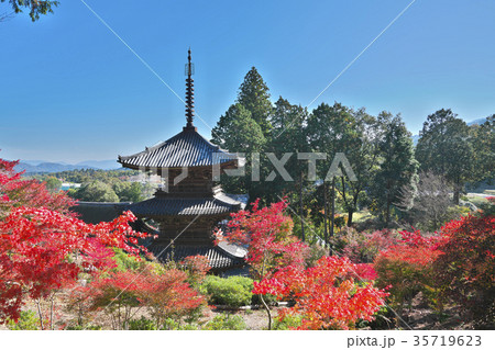 湖南常楽寺の紅葉 35719623