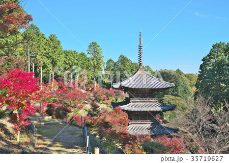 湖南常楽寺の紅葉 湖南常楽寺の紅葉 35719627