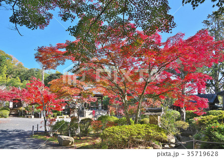 湖南常楽寺の紅葉 湖南常楽寺の紅葉 35719628
