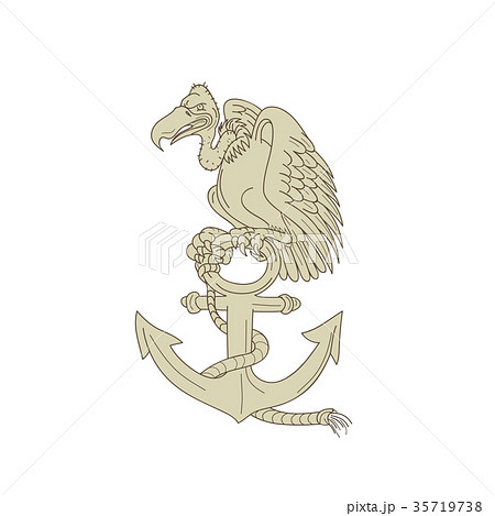 Buzzard Perching Navy Anchor Cartoon Buzzard Perching Navy Anchor Cartoon 35719738