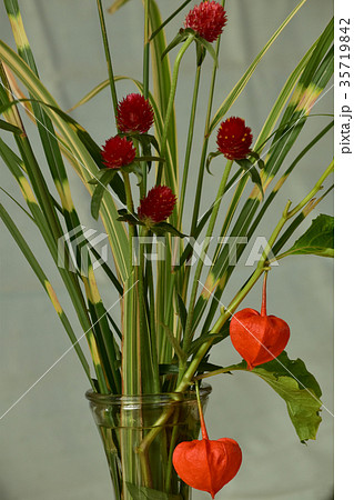 十五夜の花の写真素材