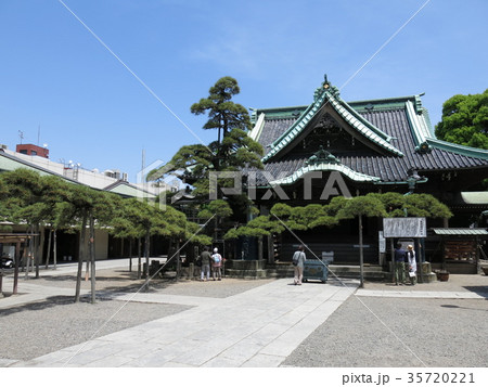 柴又帝釈天題経寺（帝釈堂と瑞龍松） 35720221