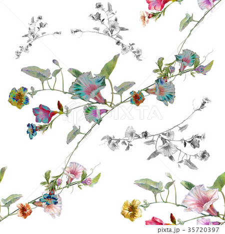 Watercolor painting of leaf and flowers, Watercolor painting of leaf and flowers, 35720397