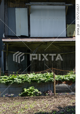 板井原集落 板井原集落 35721027