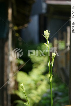 板井原集落 35721028