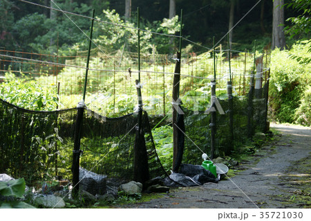 板井原集落 板井原集落 35721030